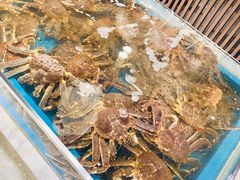 -蟹将军·松叶蟹和牛日料放题自助(K11店)