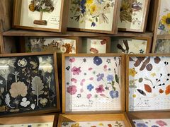 -知物癖(牛王庙店)