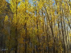 -百里山水画廊乌龙峡谷