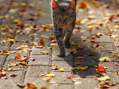 -苏州河梦清园环保主题公园