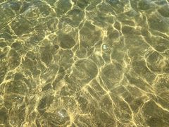 -玫瑰海岸文化旅游度假区