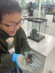 -神奇动物撸宠馆·羊驼·小浣熊·异宠(豫园店)