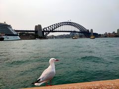 -悉尼歌剧院