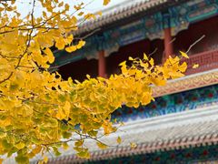 -潭柘寺景区