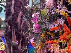 -正佳雨林生态植物园