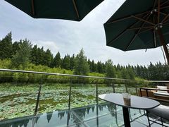 -黄海国家森林公园