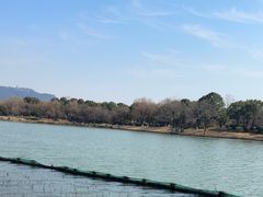 -湘湖大院(越王路店)