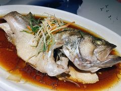 清蒸鲈鱼-鹅村长(世纪花园店)