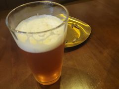 -雪梨精酿 Sydney Coast Brewing(沁春家园店)