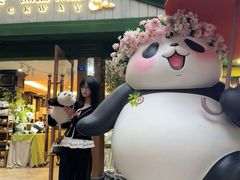 -轩客会(熊猫书店)