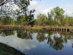 -西溪国家湿地公园