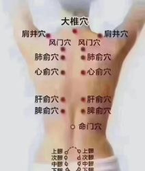 -名发世家烫染