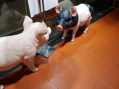 -猪角·闽南猪脚饭(华闽大厦店)