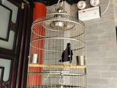 -府学·秋果S酒店(北京南锣鼓巷四合院店)