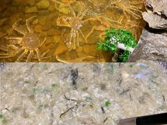 -綱元·海鲜豆捞(明州里店)
