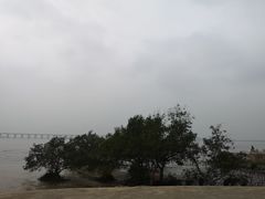 -宝安西湾红树林湿地公园