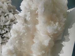 -重庆自然博物馆(新馆)