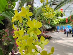 -北京植物园-展览温室