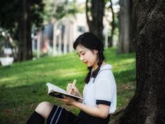 -四海公园(南山区)