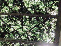 -重庆医科大学附属第一医院(金山院区)