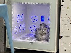 -小伙伴宠物医院·CT·骨科·眼科(高新店)