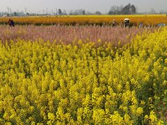 -中国天府农业博览园