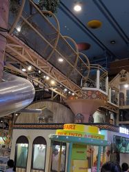 -卡通尼·Safari非洲探索乐园·生日会(金桥国际商业广场店)