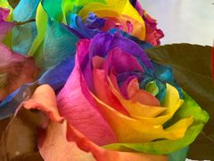 -ROSEONLY诺誓(国际广场购物中心店)