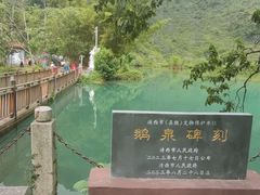 -靖西鹅泉风景区