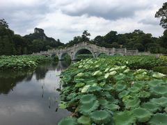 -雀儿山公园