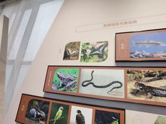 -昆明市博物馆(昆明市文物保护和考古研究中心)