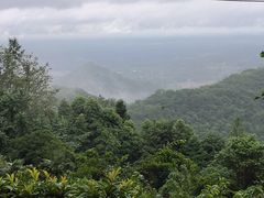 -凤栖山