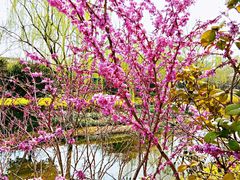 -杭州城北体育公园