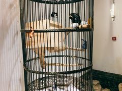 -清真·京华源铜锅涮肉(丰庆店)