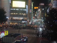 -涩谷区