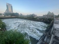 -庭院小酌(瑞莲街店)