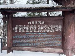 -峡谷浮石林景区