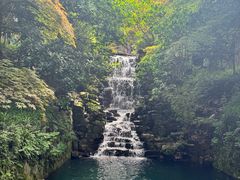 -十八棵（老龙井）御茶园(老龙井店)