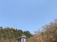 -老张烤羊(王哥庄店)