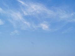 -瑰丽酒店·海吧·天际下午茶·现场DJ·天台酒吧