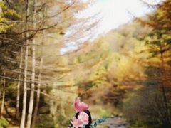 -秦岭风景区