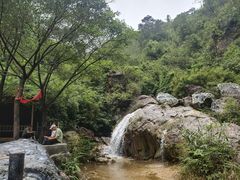 -南海湾森林生态园