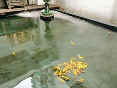 -觀芷隐轩