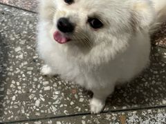 -柳州市动物园