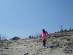 -白水寺森林公园