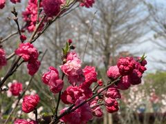 -福州大学(旗山校区)