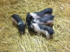 IMG_0545-远洋未来广场(育慧北路店)