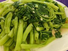 蒜蓉炒空心菜-西江河鲜·趣苑酒楼(鼎湖牌坊店)