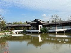 -上海滨江森林公园