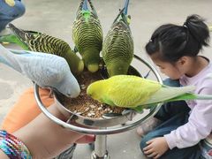 -曹州牡丹园